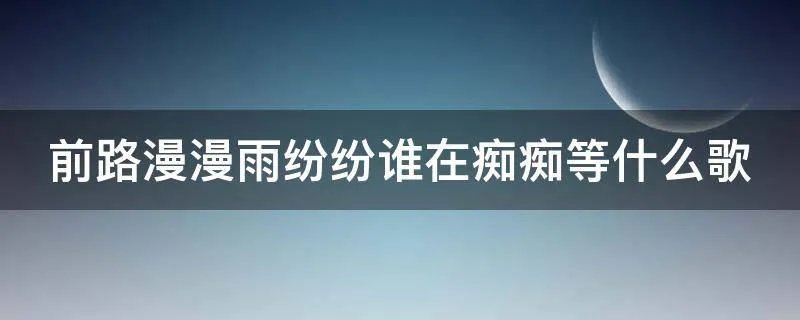 前路漫漫雨纷纷谁在痴痴等什么歌