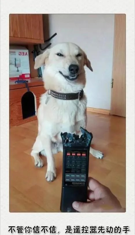 陈乔恩和吴磊在一起,你能接受吗?