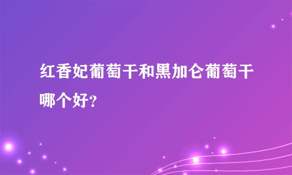 红香妃葡萄干和黑加仑葡萄干哪个好？