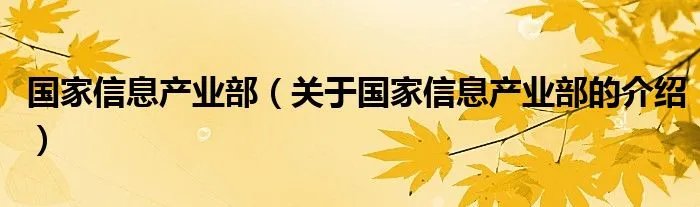 国家信息产业部（关于国家信息产业部的介绍）