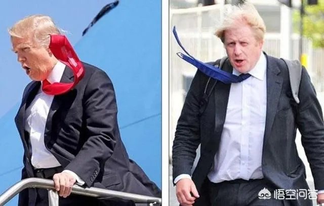 如何看待特蕾莎梅的退休生活？