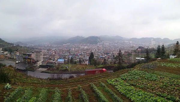 贵州省毕节市教育局电话