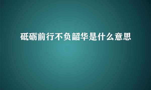 砥砺前行不负韶华是什么意思