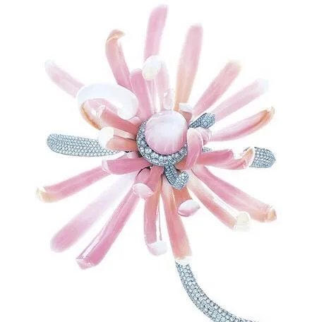 海螺珠是什么？和珍珠有什么区别？