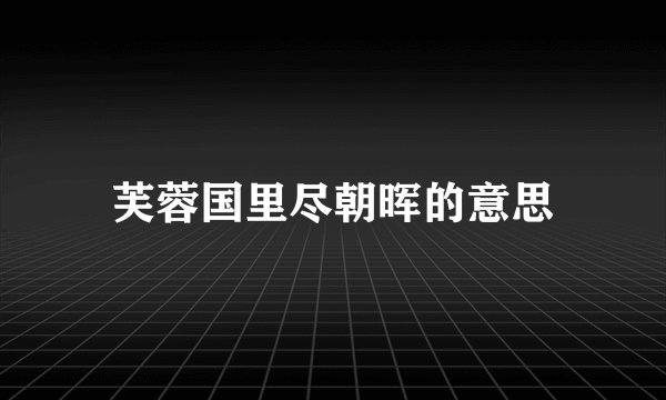芙蓉国里尽朝晖的意思