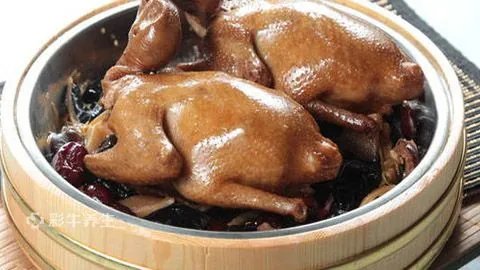 鸽子肉的功效和作用