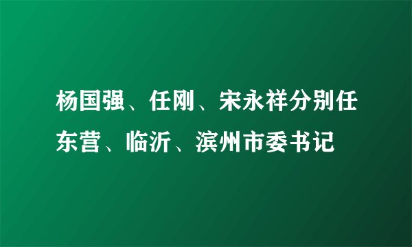 杨国强、任刚、宋永祥分别任东营、临沂、滨州市委书记
