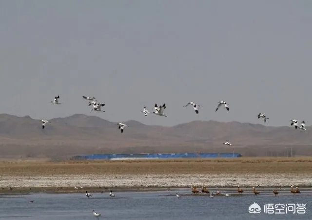 张家口市沽源县有哪些好玩的地方值得推荐？