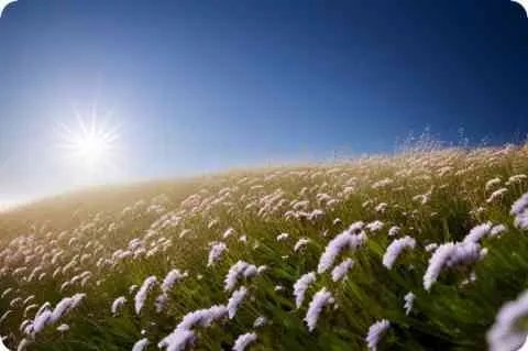 盖四字成语查询