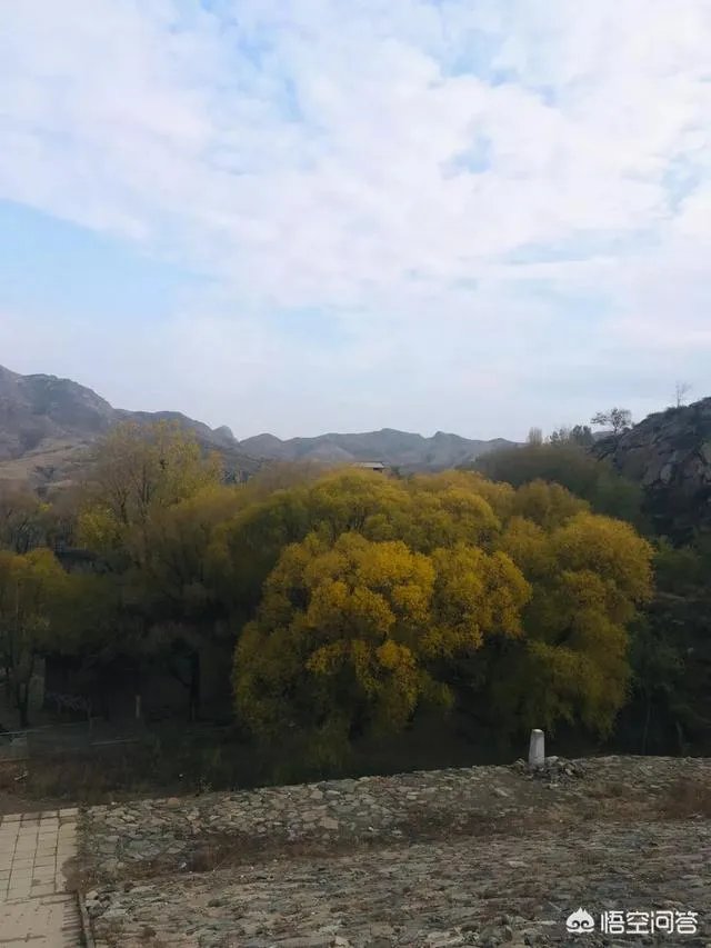 包头这个城市美不美？