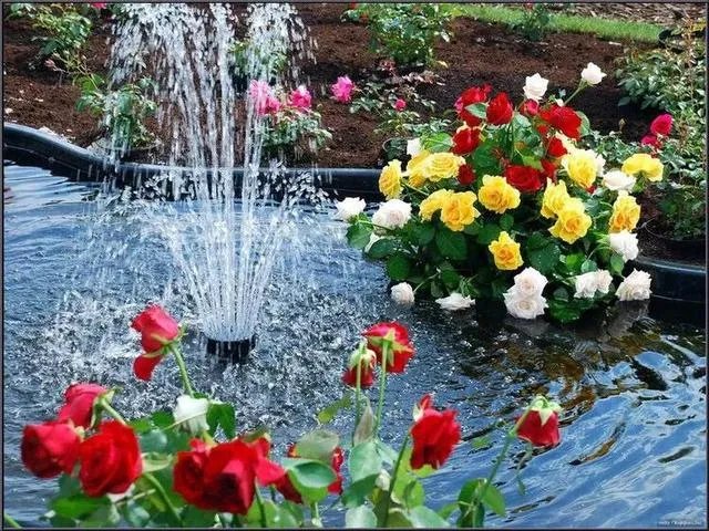 秋风冷雨夜，一夜冷一夜。如何对下联？