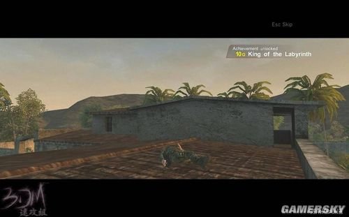 详细图文流程攻略 乌鸦小队：藏刃行动