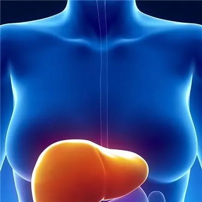 乙肝核心抗体是什么意思