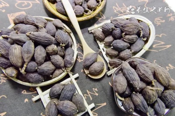 蛇胆川贝枇杷膏怎么吃？蛇胆川贝枇杷膏小孩能吃吗？[图]