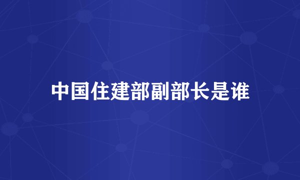中国住建部副部长是谁