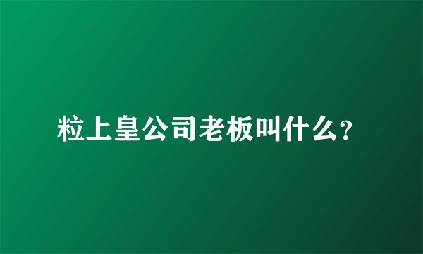 粒上皇公司老板叫什么？