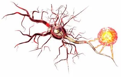 癌症是哪些因素引起的 这七个坏习惯易招来癌症