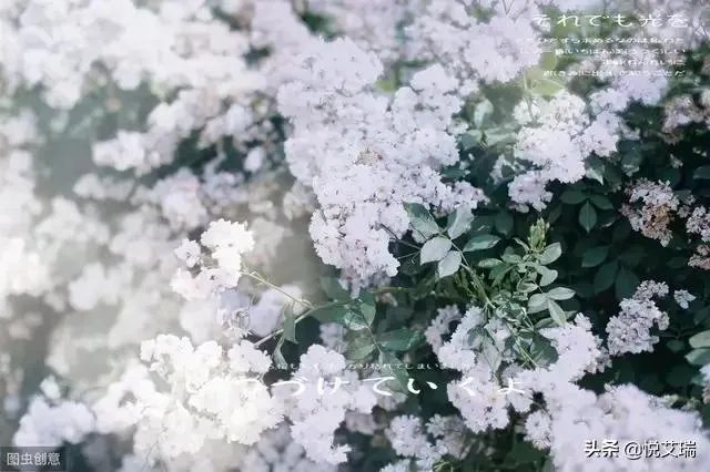 最值得一读的书推荐一下吧？