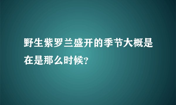 野生紫罗兰盛开的季节大概是在是那么时候？