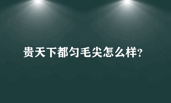 贵天下都匀毛尖怎么样？