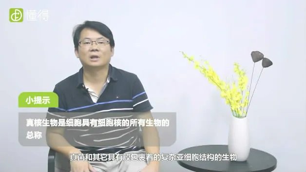 什么是真核生物