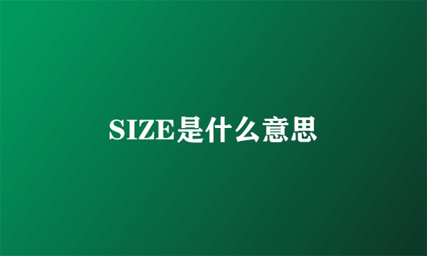 SIZE是什么意思