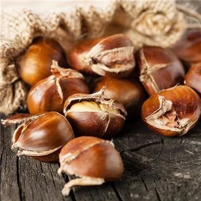 茯苓的功效与作用