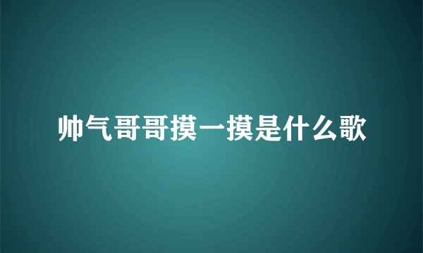 帅气哥哥摸一摸是什么歌