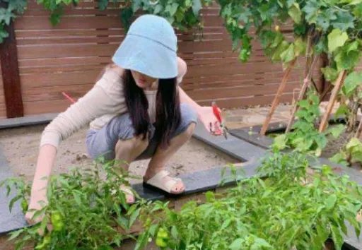 为什么张馨予微博晒照很接地气不像个明星？