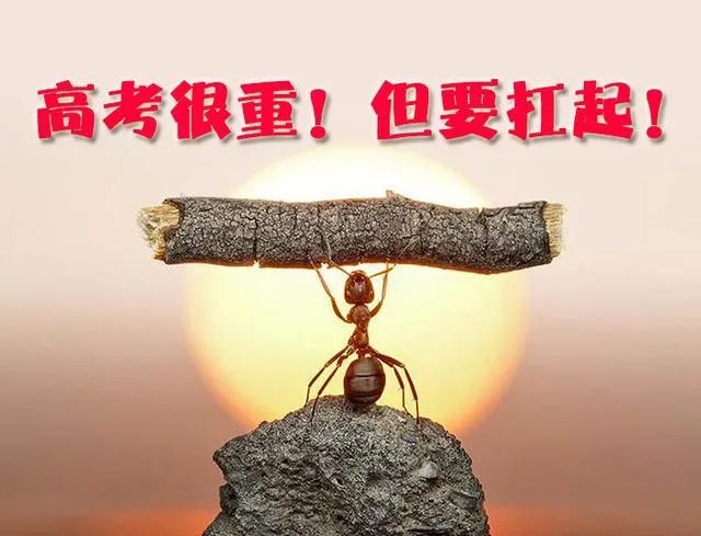 福建高考移民你怎么看？