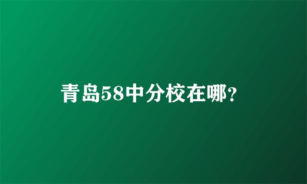 青岛58中分校在哪？