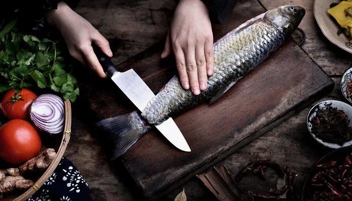 鱼缸水浑浊原因和解决方案 鱼缸水浑浊的原因和解决方案