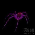 魔兽世界纳克萨玛斯蜘蛛区攻略