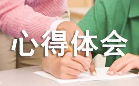 信任背摔的拓展心得体会