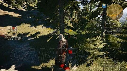 巫师3-艾斯凯尔踪迹图文详解