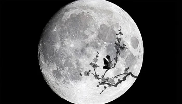 日食和月食有什么区别 日食和月食的区别