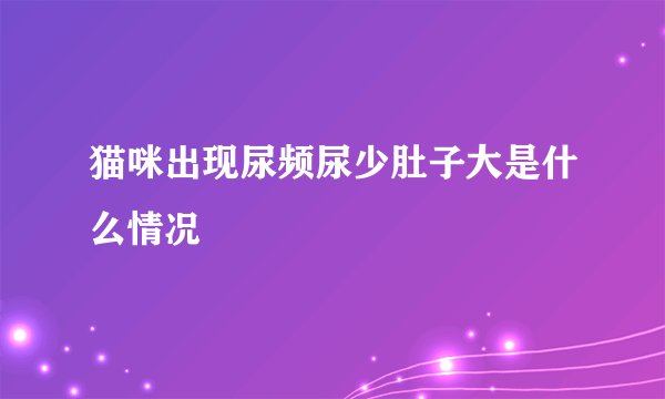 猫咪出现尿频尿少肚子大是什么情况