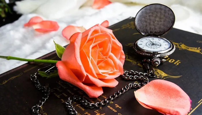 august是什么意思