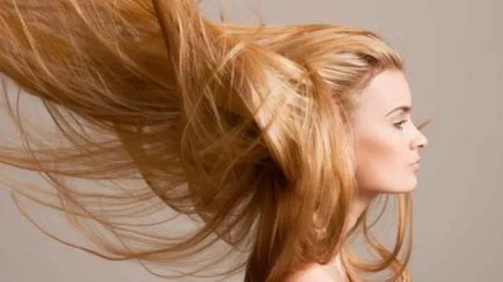 黄热病地区国家的名单  黄热病有什么注意事项