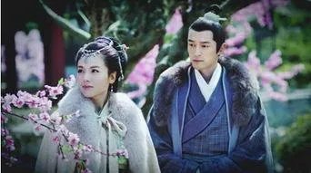 琅琊榜小说中霓凰郡主到底喜欢谁？是梅长苏还是聂铎？