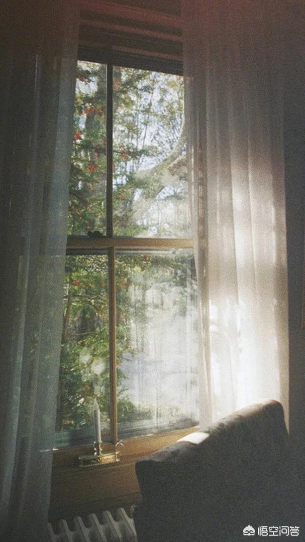 有什么好看的、景色秀丽的壁纸？