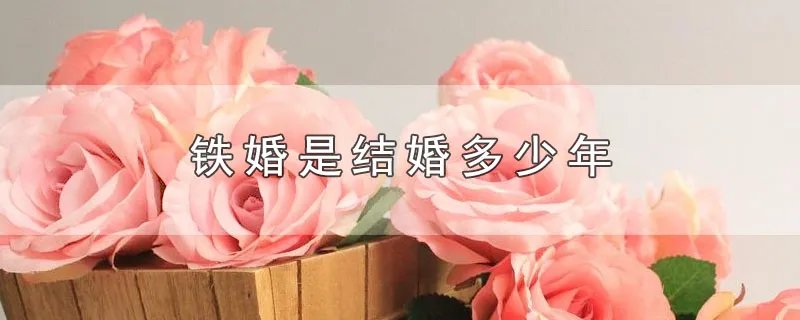 铁婚是结婚多少年