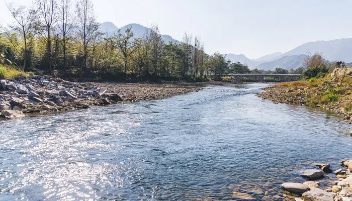 大金国是现在中国哪个省