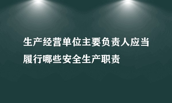 生产经营单位主要负责人应当履行哪些安全生产职责