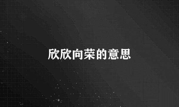 欣欣向荣的意思