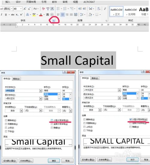 word设小型大写字母small capitals