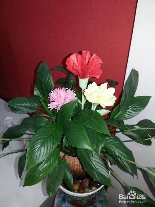 剪纸怎样剪最简单又漂亮