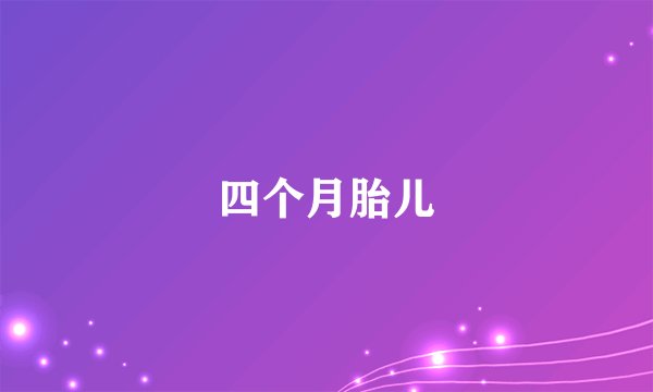 四个月胎儿