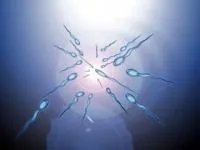 什么是精液图片