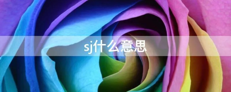 sj什么意思